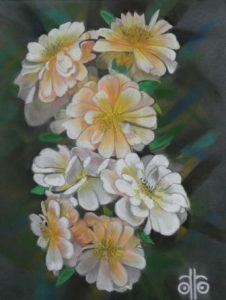 Pastel sec 2021, 20 x 30 cm, vendu. Roses anciennes. Vendu
