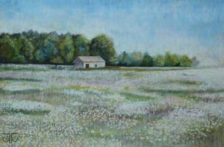 Pastel sec 2022, 50 X 70 cm, 290 € La Dordogne au printemps