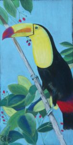 Pastel sec 2022, 40 x 60 cm, 180 €. Toucan d'enfer.