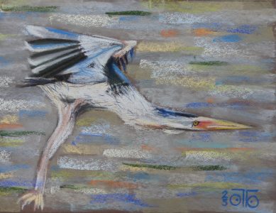 Pastel sec 2025, 20 x 207 cm, 89 € Jeune héron en recherche de vitesse.
