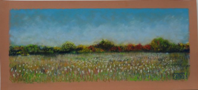 Pastel sec 2025, 23 x 50 cm, 200 € Lumière d'automne